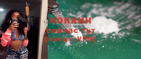 СК Алексин