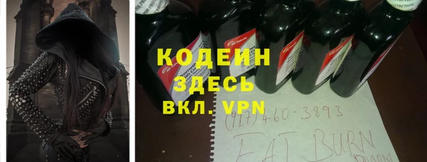 индика Армянск