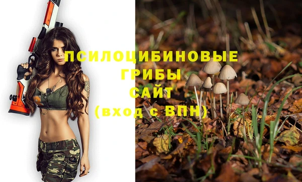 ешки Абинск