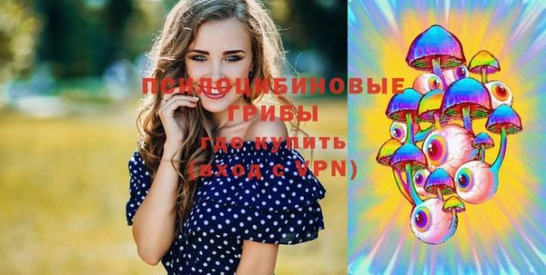мдпв Абаза