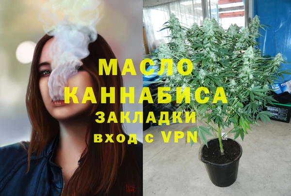 СК Алексин