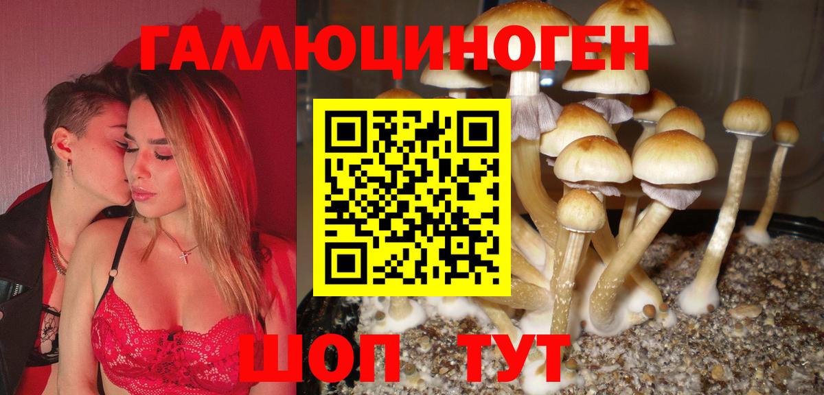 Одинцово  купить наркоту  Псилоцибиновые грибы GOLDEN TEACHER  Вход с VPN  Галлюциногенные грибы прущие грибы 